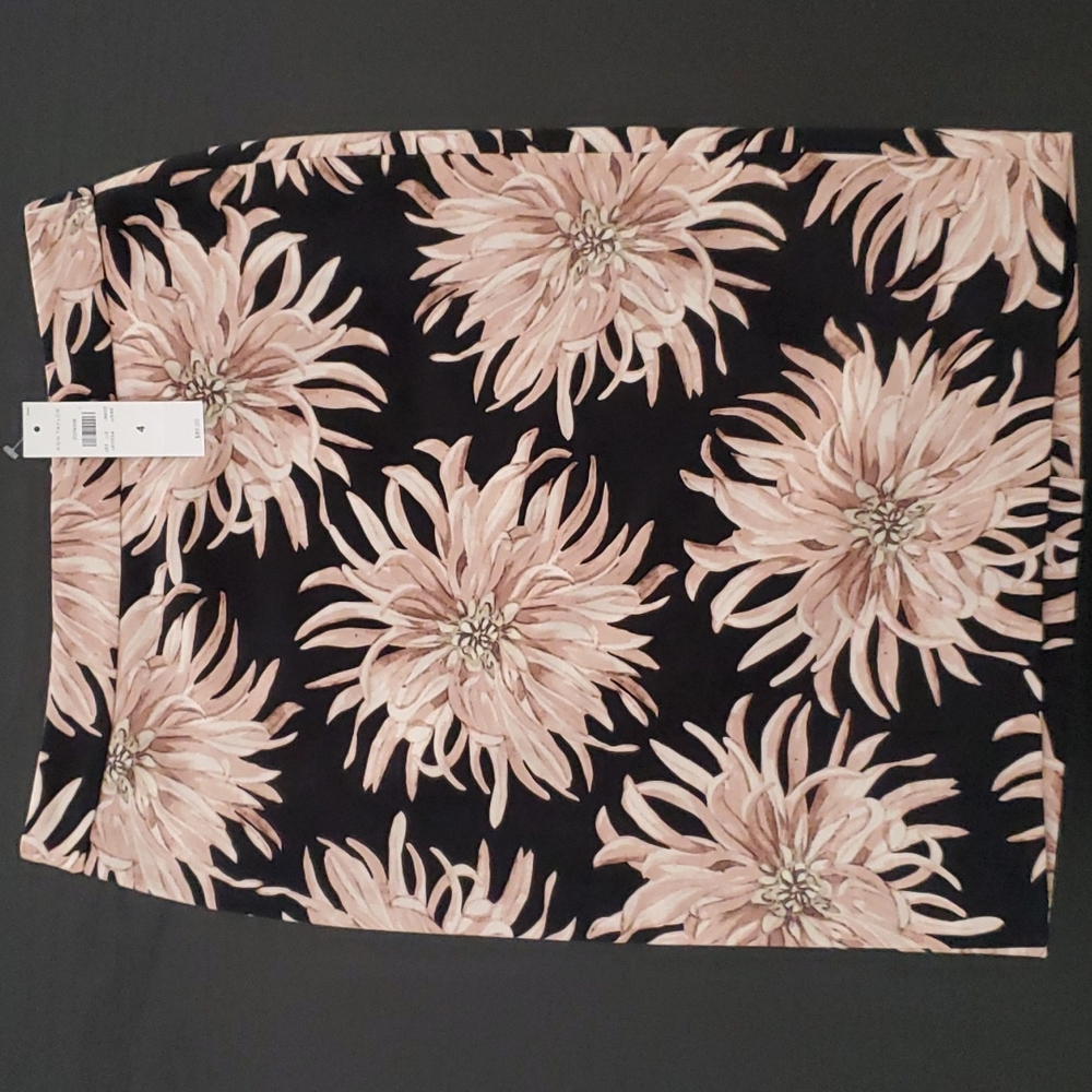 Ann Taylor skirt NWT Size 4
